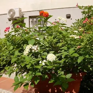  Apartment House With Garden And Parking Space In Mergellina Italy